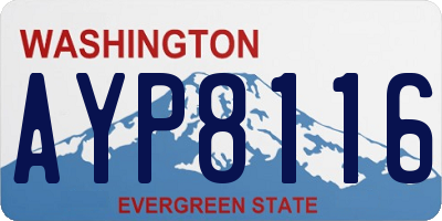 WA license plate AYP8116