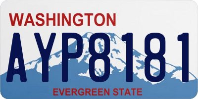 WA license plate AYP8181