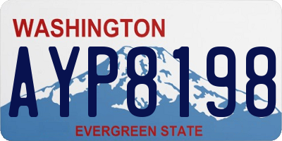 WA license plate AYP8198