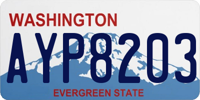 WA license plate AYP8203