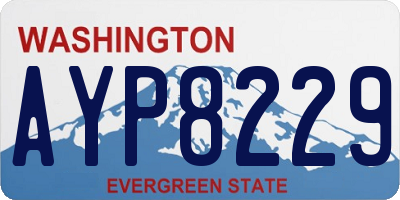 WA license plate AYP8229