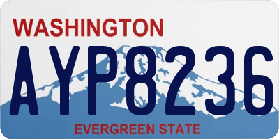 WA license plate AYP8236
