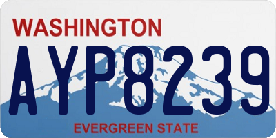 WA license plate AYP8239