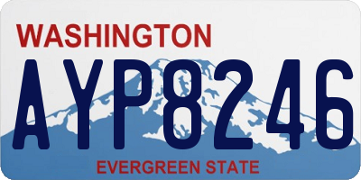 WA license plate AYP8246