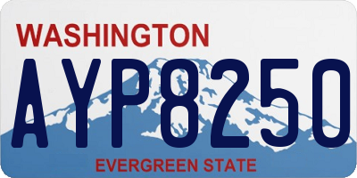 WA license plate AYP8250