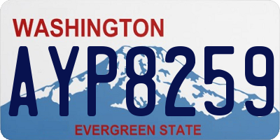 WA license plate AYP8259