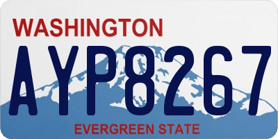 WA license plate AYP8267