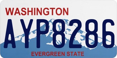 WA license plate AYP8286