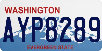 WA license plate AYP8289
