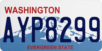 WA license plate AYP8299