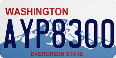 WA license plate AYP8300