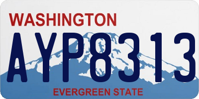 WA license plate AYP8313