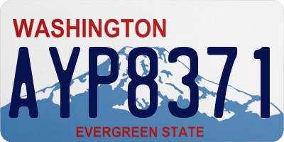 WA license plate AYP8371