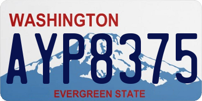 WA license plate AYP8375