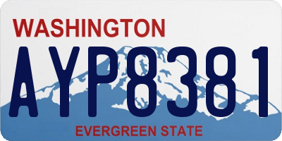 WA license plate AYP8381