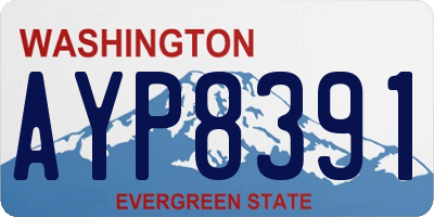 WA license plate AYP8391