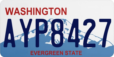 WA license plate AYP8427