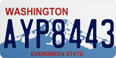 WA license plate AYP8443