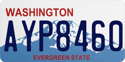 WA license plate AYP8460