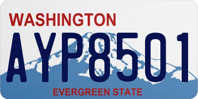 WA license plate AYP8501