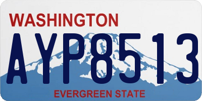 WA license plate AYP8513