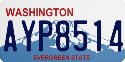 WA license plate AYP8514
