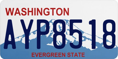 WA license plate AYP8518