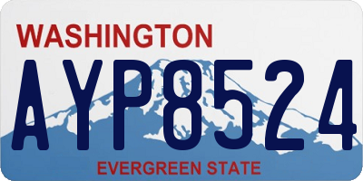 WA license plate AYP8524