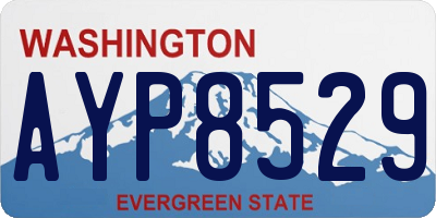 WA license plate AYP8529