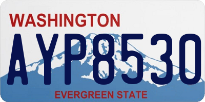 WA license plate AYP8530