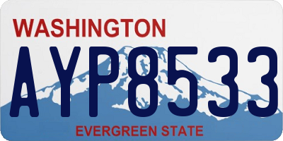 WA license plate AYP8533
