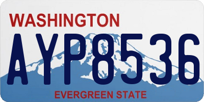 WA license plate AYP8536