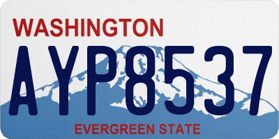 WA license plate AYP8537