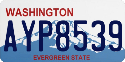 WA license plate AYP8539