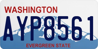 WA license plate AYP8561