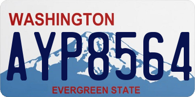 WA license plate AYP8564