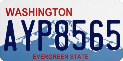 WA license plate AYP8565