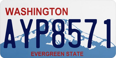 WA license plate AYP8571