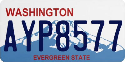 WA license plate AYP8577