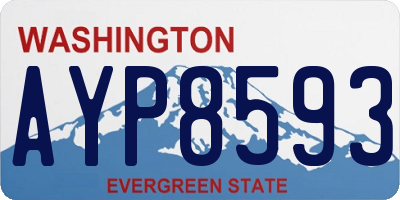 WA license plate AYP8593
