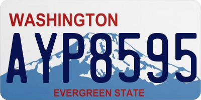 WA license plate AYP8595