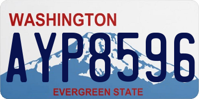 WA license plate AYP8596