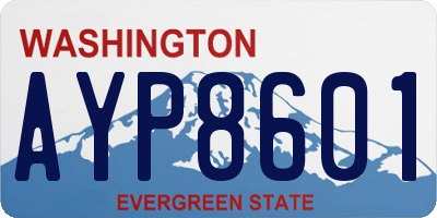 WA license plate AYP8601