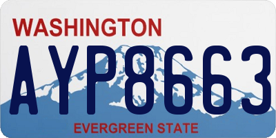 WA license plate AYP8663