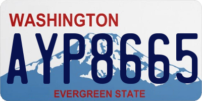 WA license plate AYP8665