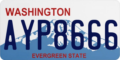 WA license plate AYP8666