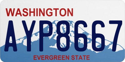 WA license plate AYP8667