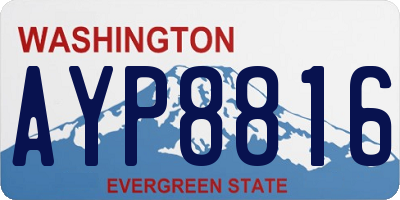 WA license plate AYP8816