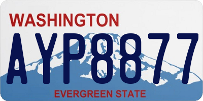 WA license plate AYP8877