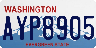 WA license plate AYP8905